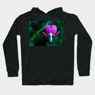 My Bleeding Heart Hoodie